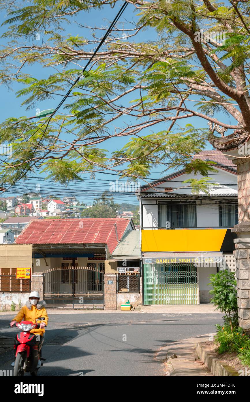 Da Lat, Vietnam - 31 octobre 2022 : rue de la vieille ville maison colorée et arbre vert Banque D'Images