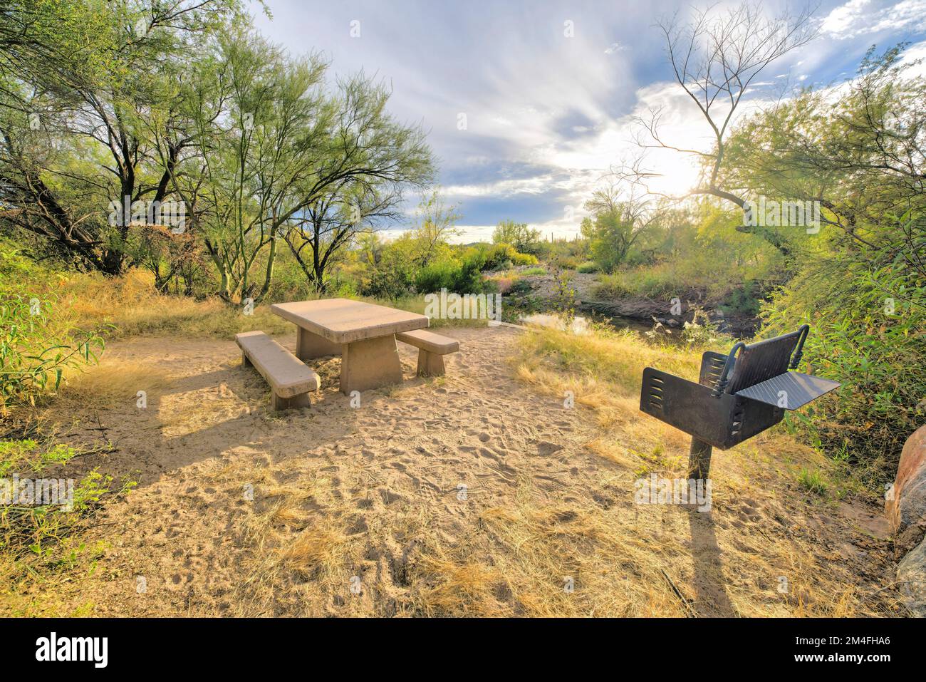 Parc national de Sabino Canyon, Tucson, Arizona- aire de camping avec grill en bois et vue sur une crique. Il y a une grille au sol sur la droite et une languette en béton Banque D'Images