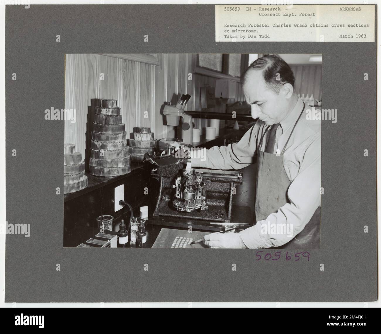 Techniques de laboratoire - tous les États. Photographies relatives aux forêts nationales, aux pratiques de gestion des ressources, au personnel et à l'histoire culturelle et économique Banque D'Images