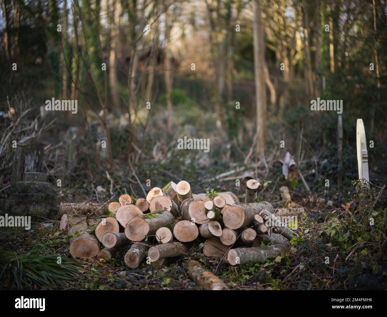 Cimetière d'Arnos Vale, Bristol Banque D'Images