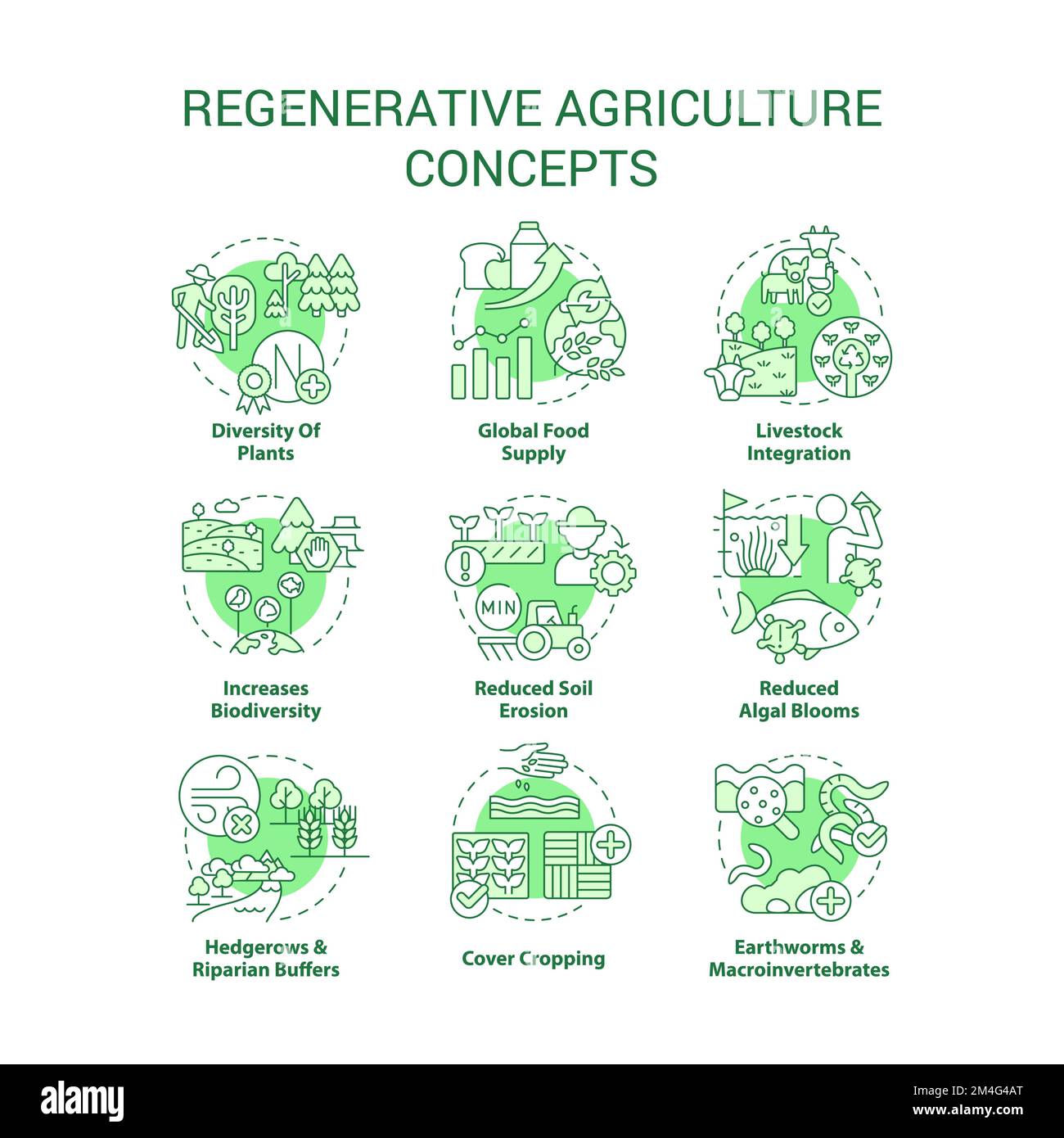 Ensemble d'icônes de concept vert pour l'agriculture régénératrice Illustration de Vecteur