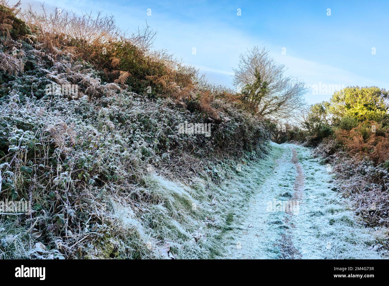 Un sentier gelé à Newquay, en Cornouailles, au Royaume-Uni. Banque D'Images