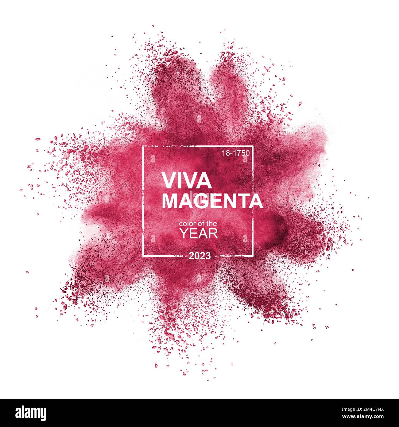 Viva Magenta couleur éclabousse sur blanc. Banque D'Images