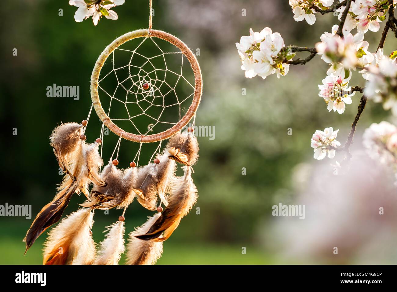 Dreamcatcher accroché à l'arbre en fleurs dans le vent au printemps. Spiritualité et rituel ornement pour le bon rêve Banque D'Images