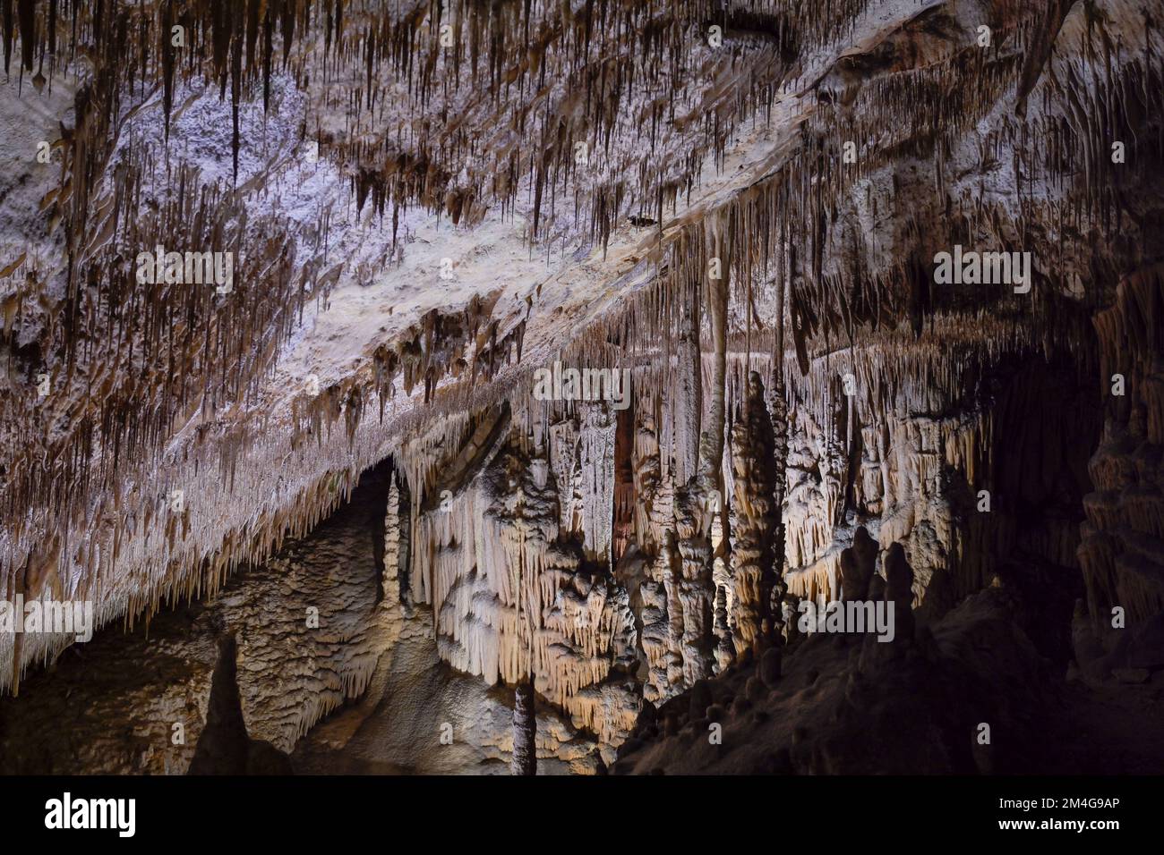 Tropfsteinhöhlen Cuevas del Drach, Porto Cristo, Mallorca, Espagnol Banque D'Images