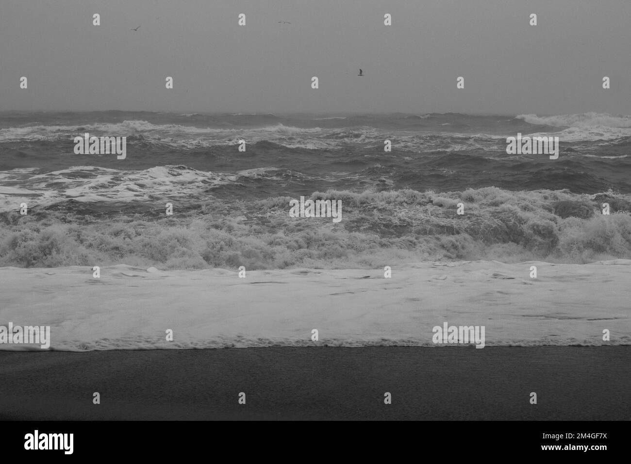 Plage de mer sur une photo de paysage monochrome de la journée de tempête Banque D'Images