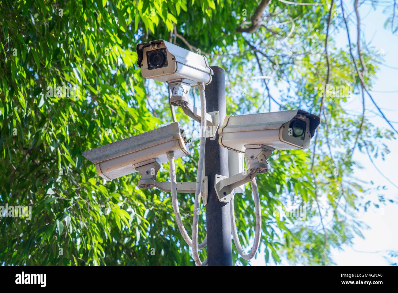 Groupe de vision à angle bas des caméras de vidéosurveillance ou CCTV avec lumière du soleil sur poteau en acier dans le parking public extérieur avec arbre vert flou Banque D'Images