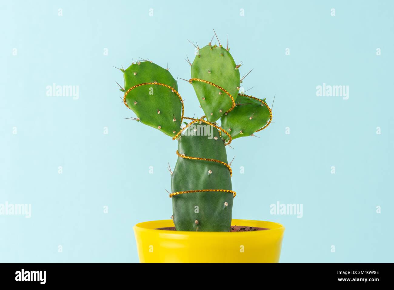 Concept minimaliste fait avec cactus vert avec décoration d'arbre de Noël. Arrière-plan de Noël ou du nouvel an. Banque D'Images