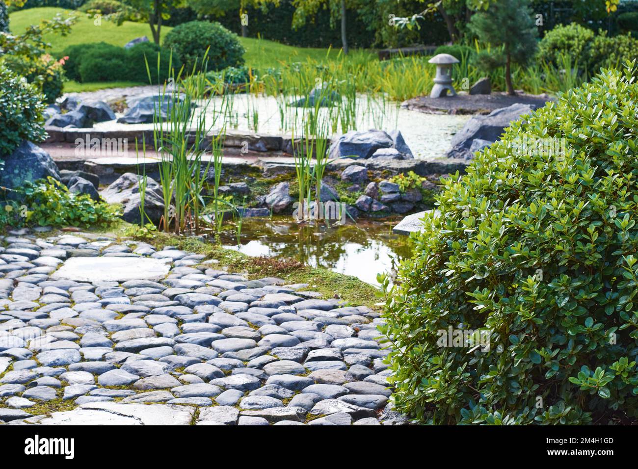 Jardin japonais avec chemin en pierre et étang Banque D'Images