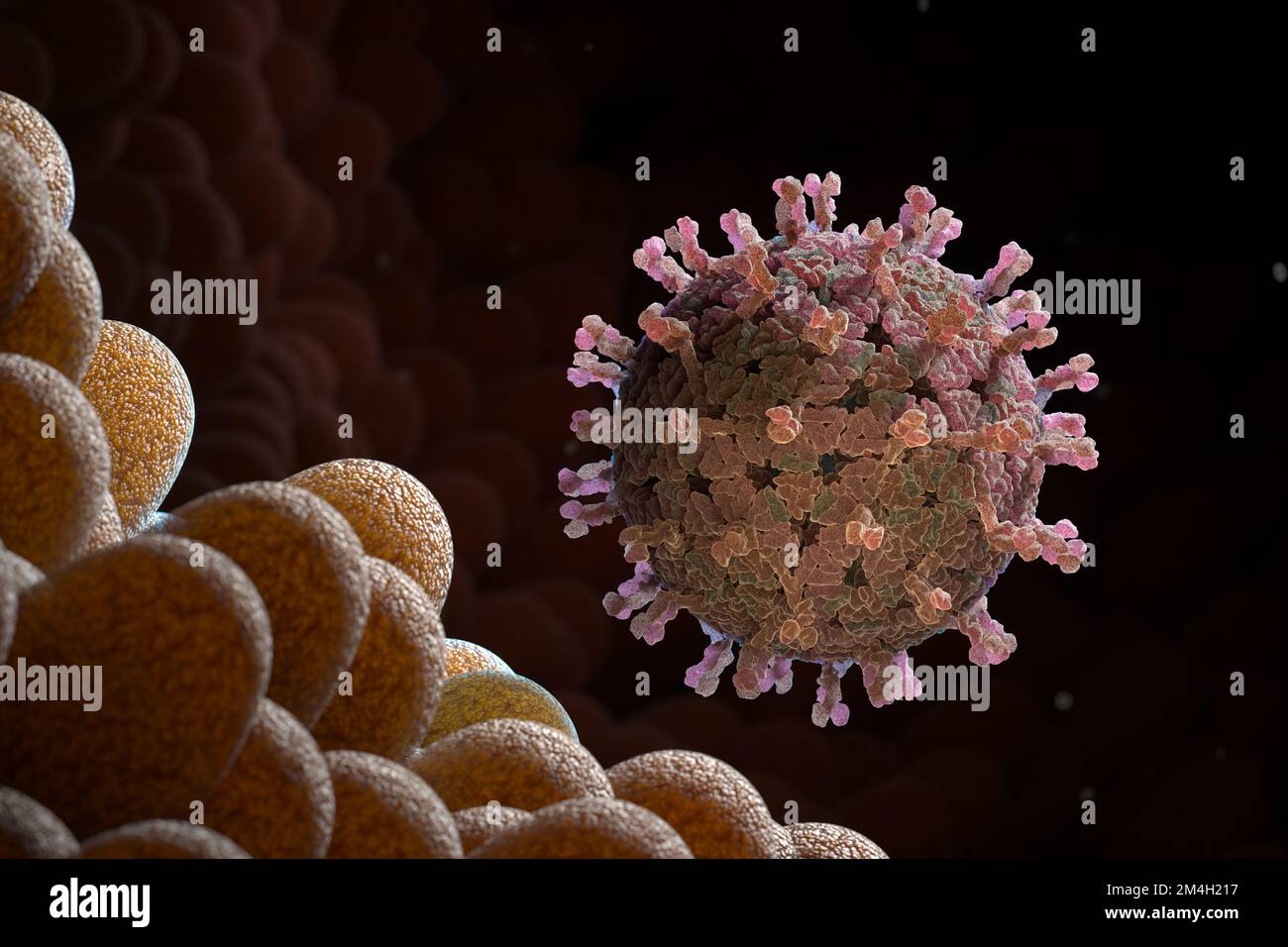 Le rotavirus sur la surface microvillosdu système digestif est très contagieux et cause la diarrhée 3D illustration Banque D'Images
