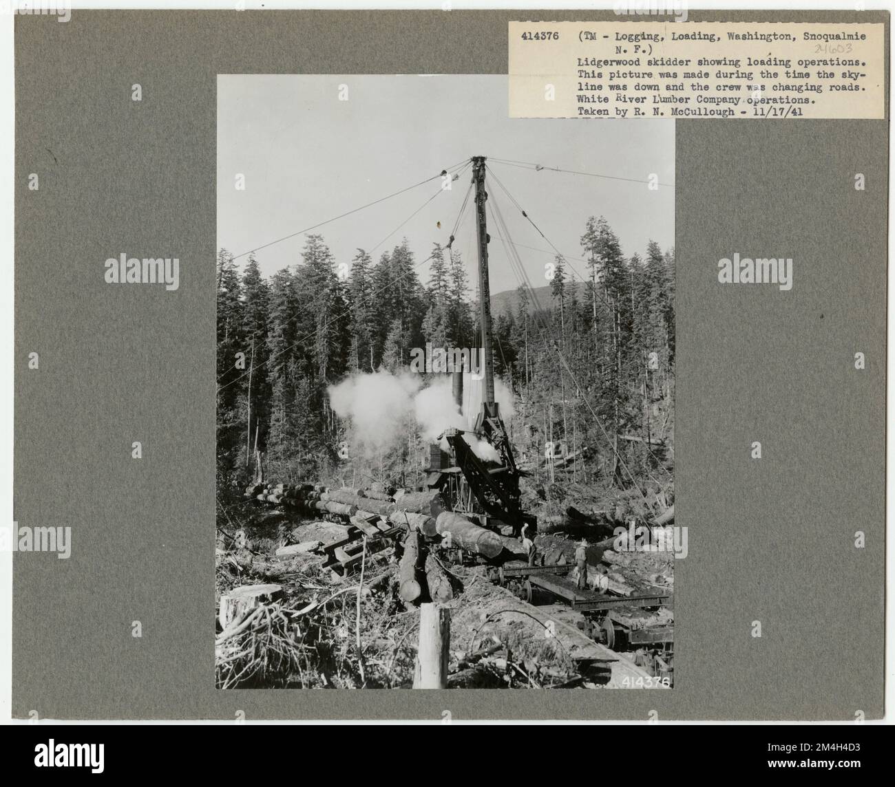 Exploitation forestière: Transport: Chemins de fer - Texas. Photographies relatives aux forêts nationales, aux pratiques de gestion des ressources, au personnel et à l'histoire culturelle et économique Banque D'Images