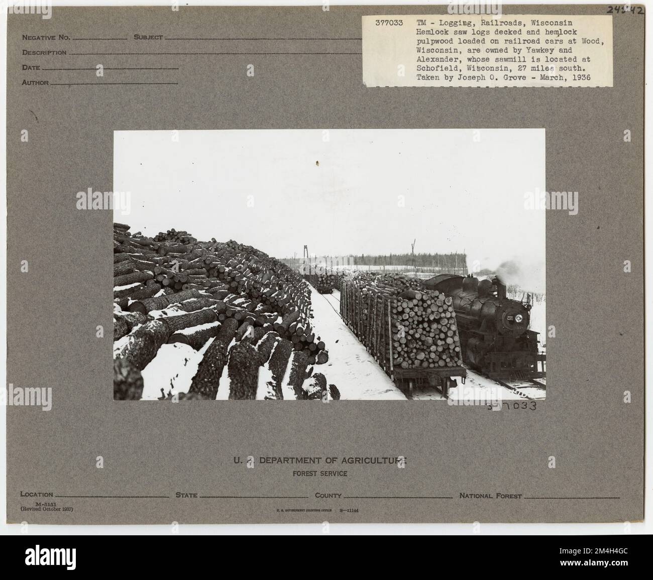 Exploitation forestière: Transport: Chemins de fer - Wisconsin. Photographies relatives aux forêts nationales, aux pratiques de gestion des ressources, au personnel et à l'histoire culturelle et économique Banque D'Images