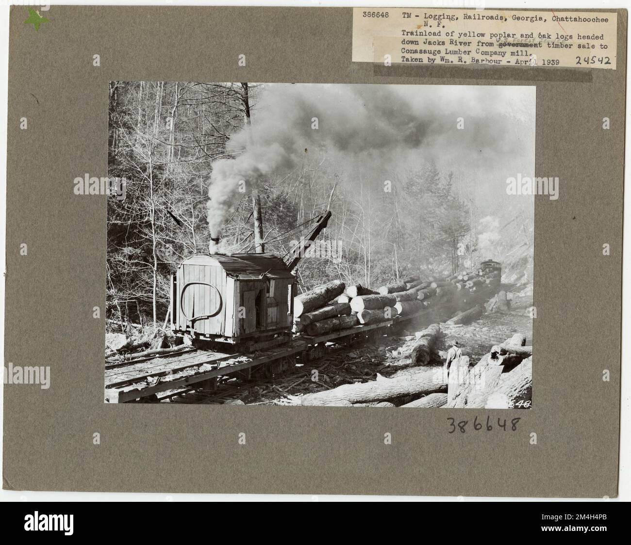 Exploitation forestière: Transport: Chemins de fer - Géorgie. Photographies relatives aux forêts nationales, aux pratiques de gestion des ressources, au personnel et à l'histoire culturelle et économique Banque D'Images