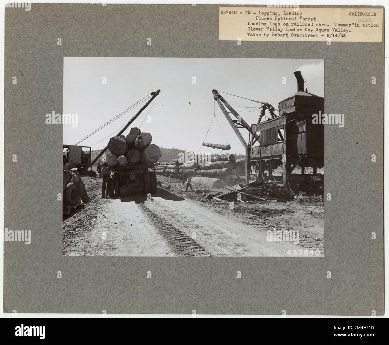 Exploitation forestière: Transport: Chemins de fer - Californie. Photographies relatives aux forêts nationales, aux pratiques de gestion des ressources, au personnel et à l'histoire culturelle et économique Banque D'Images