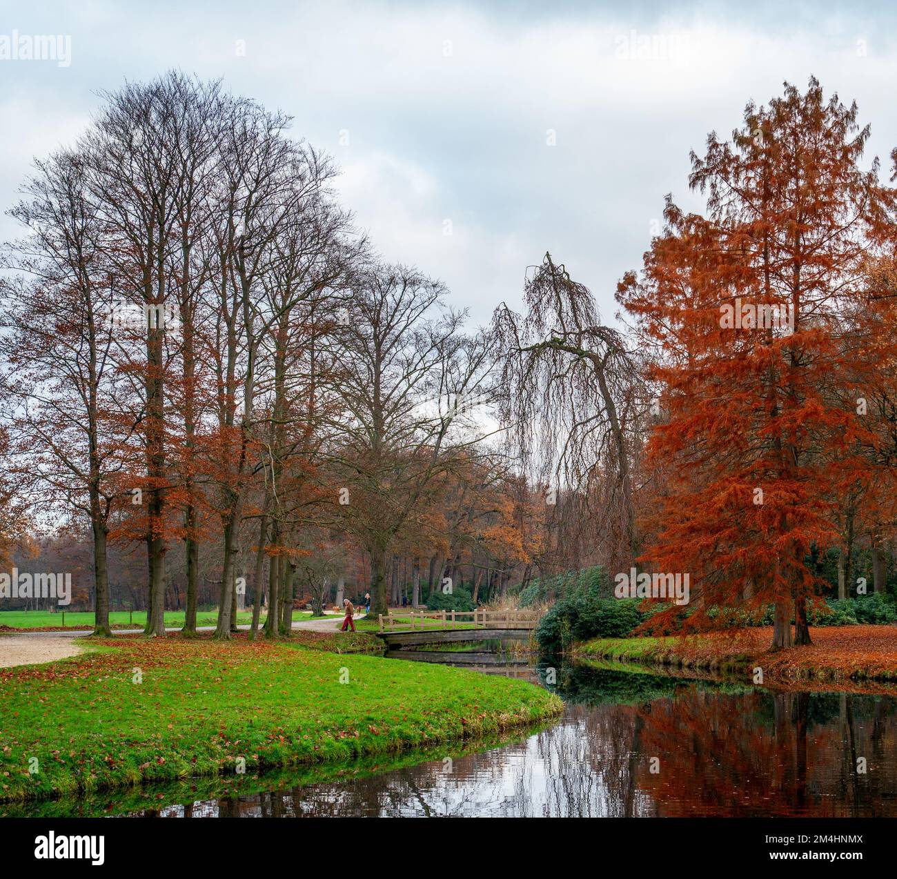 Automne dans un parc aux pays-Bas Banque D'Images