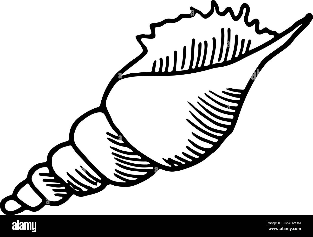 Esquisse de Seashell. Mise en plan de coque Conch. Symbole Plage Illustration de Vecteur