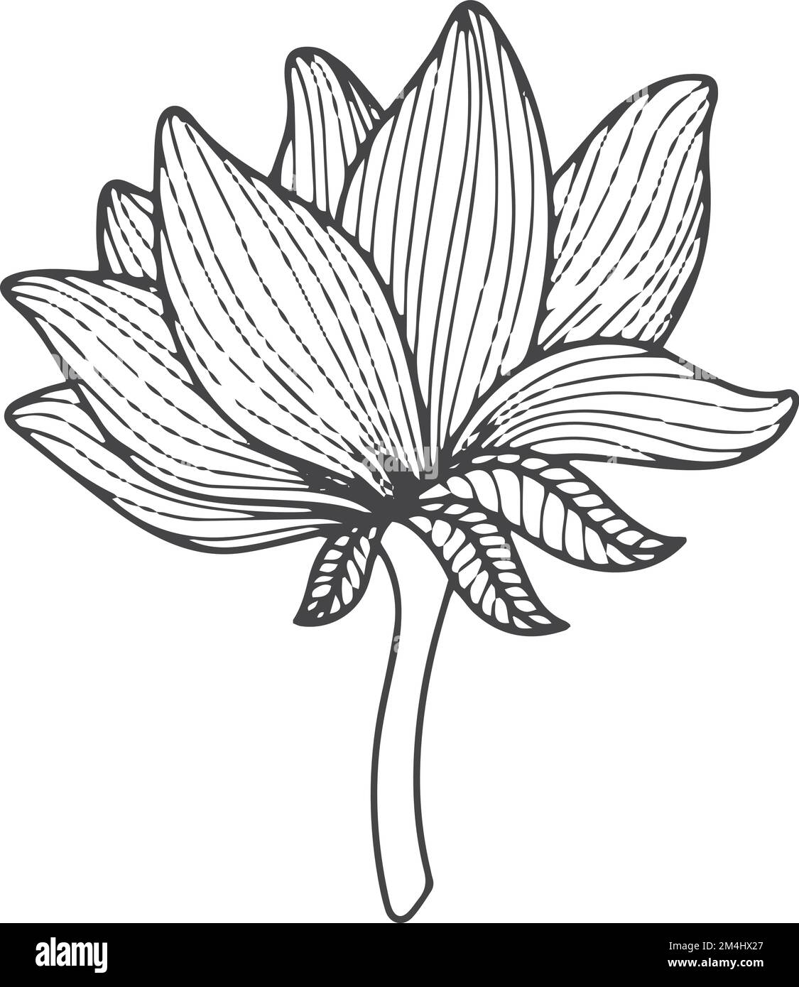 Dessin de fleurs japonaises. Décoration florale Illustration de Vecteur