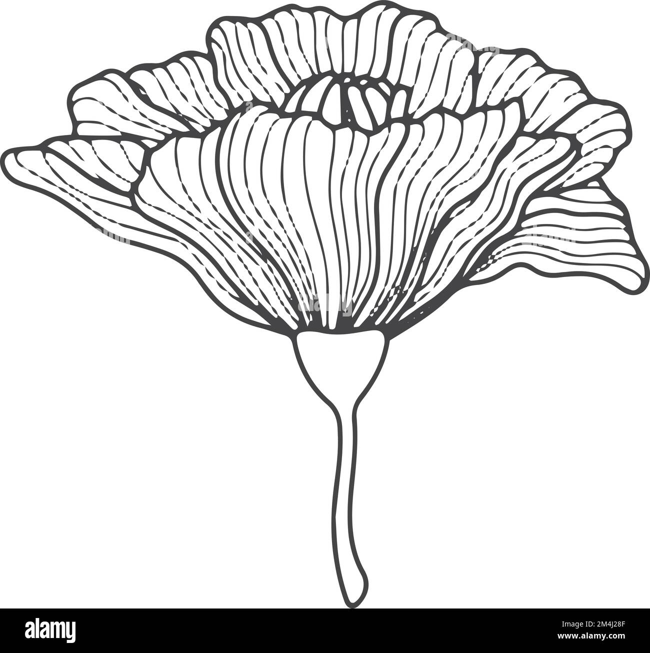 Dessin de ligne botanique. Fleur de style japonais Illustration de Vecteur