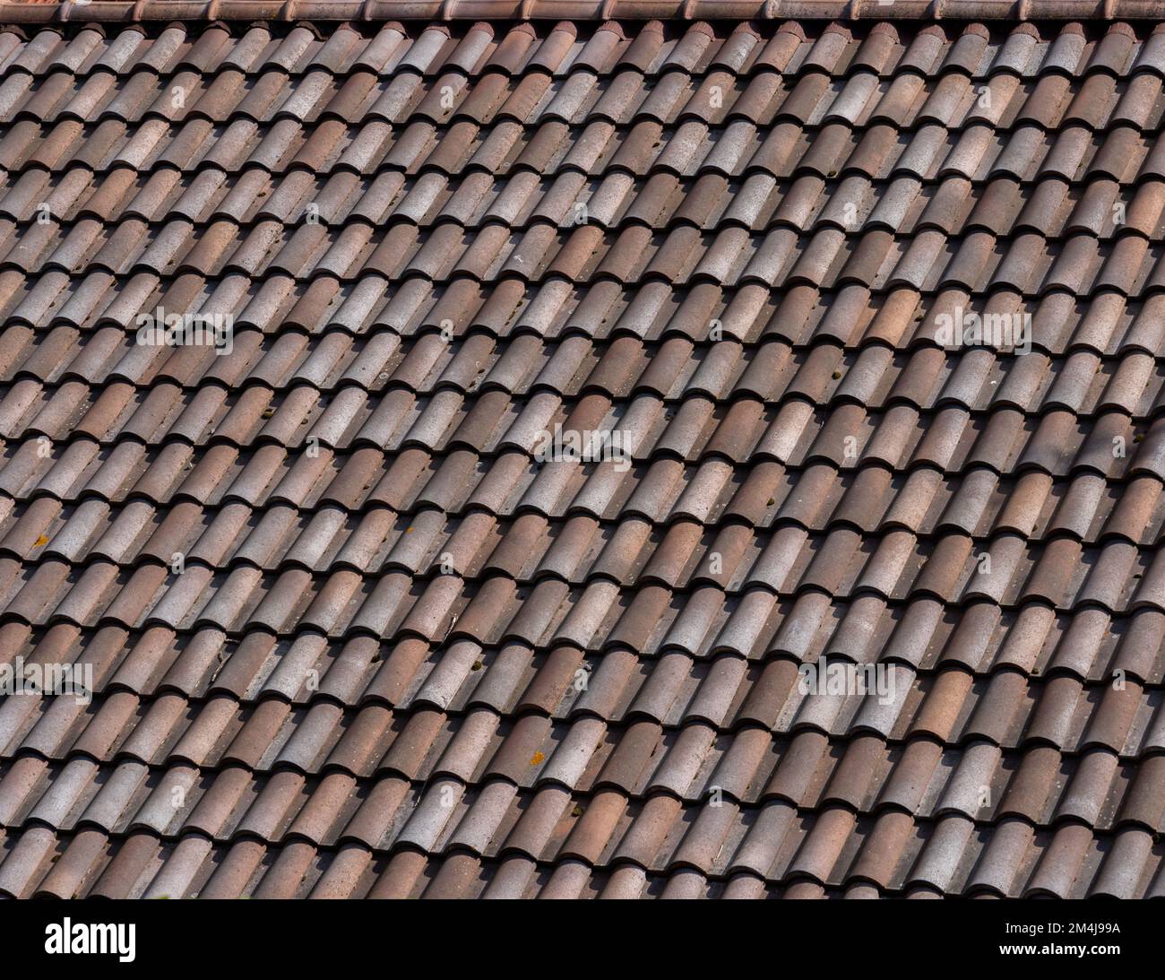 Toit avec carreaux de faïence, fond et texture. Banque D'Images