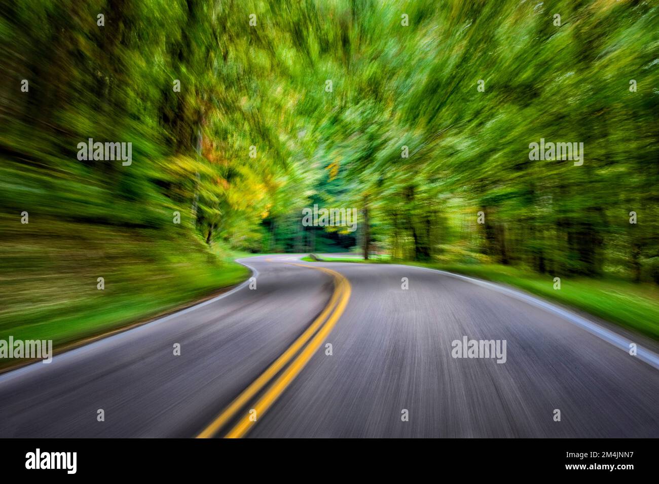 Horizontal intentionnellement flou photo de l'excès de vitesse à travers les Smoky Mountains. Banque D'Images