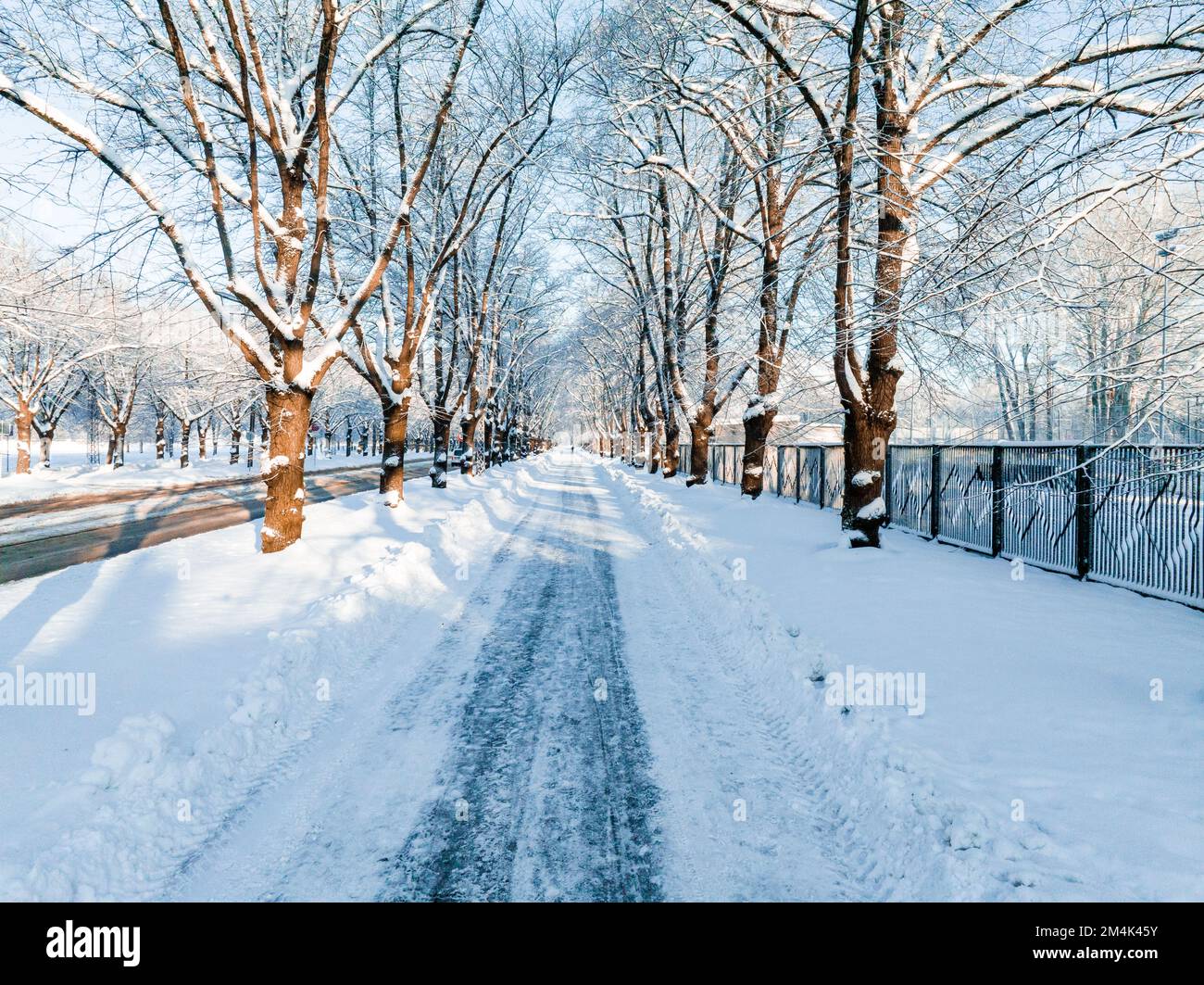 Saison d'hiver magique. Sentier de neige à travers la forêt d'hiver par une journée ensoleillée. Banque D'Images