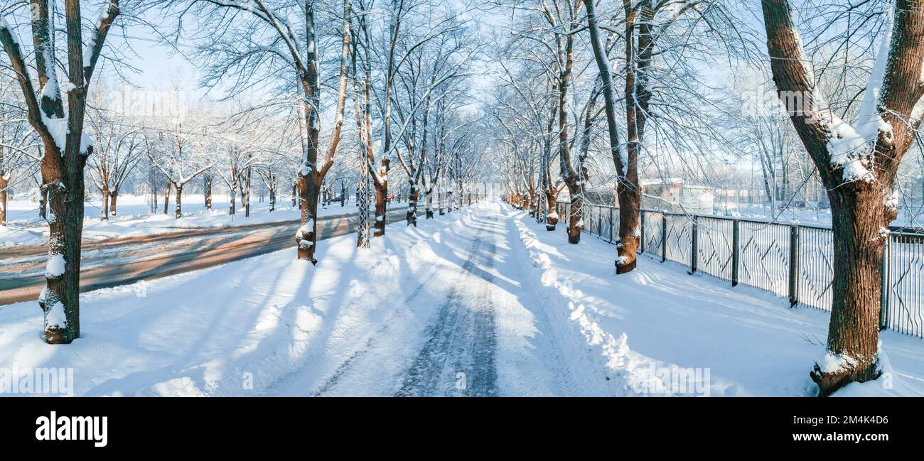 Saison d'hiver magique. Sentier de neige à travers la forêt d'hiver par une journée ensoleillée. Banque D'Images