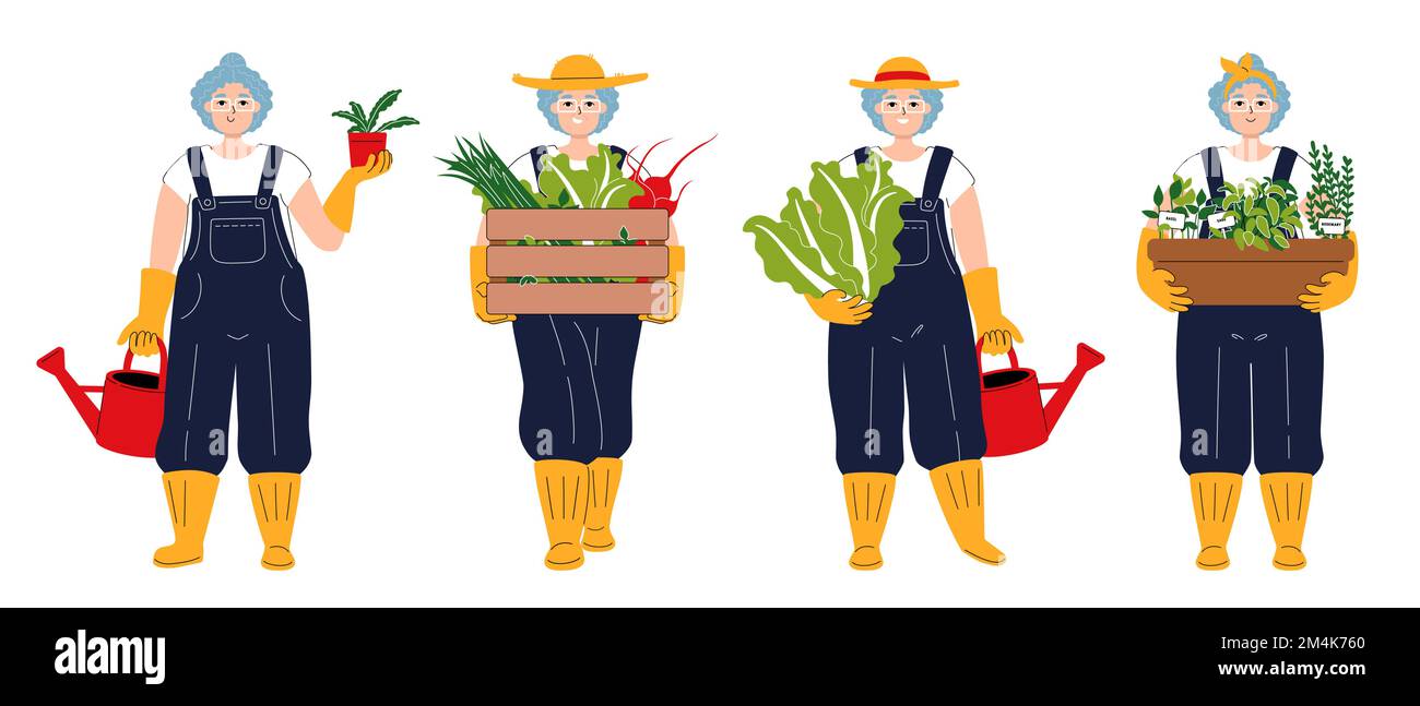 Un ensemble de caractères comme jardinier âgé blanc. Femme souriante portant une boîte de légumes. Fille aux cheveux gris dans un chapeau tenant le chou chinois et l'eau Illustration de Vecteur