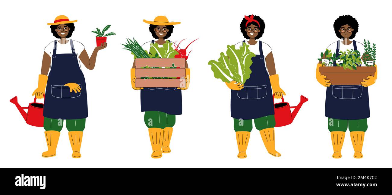 Un ensemble de personnages comme la peau noire mignon jardinier. Jeune femme souriante portant une boîte de légumes. Fille africaine dans un chapeau tenant le chou chinois et le wat Illustration de Vecteur