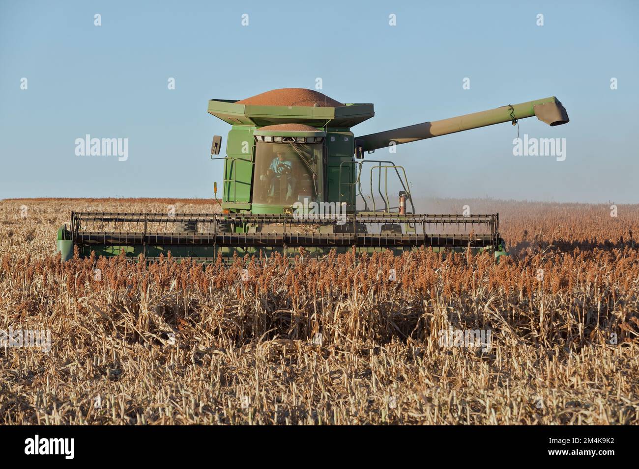 Moissonneuse-batteuse John Deere 9550, cultivateur de sorgho à grains Milo, sorgho vulgare, comté de Trego, Kansas. Banque D'Images