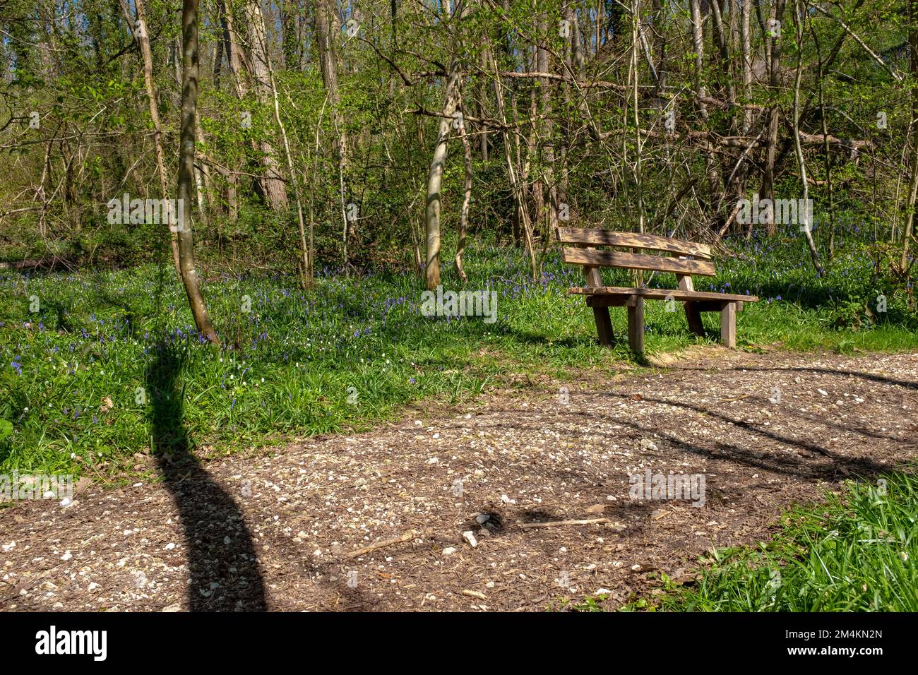 Un banc le long d'un sentier, pris lors d'une journée ensoleillée de printemps en France Banque D'Images