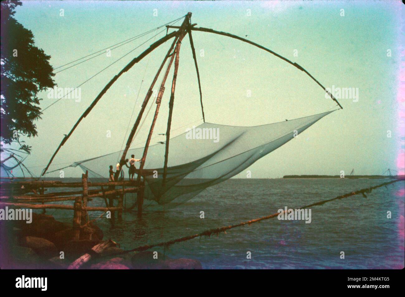 Filets de pêche chinois à fort Kochi, Kerala Matka, tout est possible, Barge,.les filets de pêche chinois (Cheena vala en Inde ou tangkul en Indonésie) sont un type de filet de levage fixe en Inde et en Indonésie. Ce sont des filets de pêche qui sont des installations terrestres fixes pour la pêche. Bien que communément connu sous le nom de « filets de pêche chinois » en Inde, le nom le plus formel de ces filets est « filets de levage exploités par des navires ». Banque D'Images