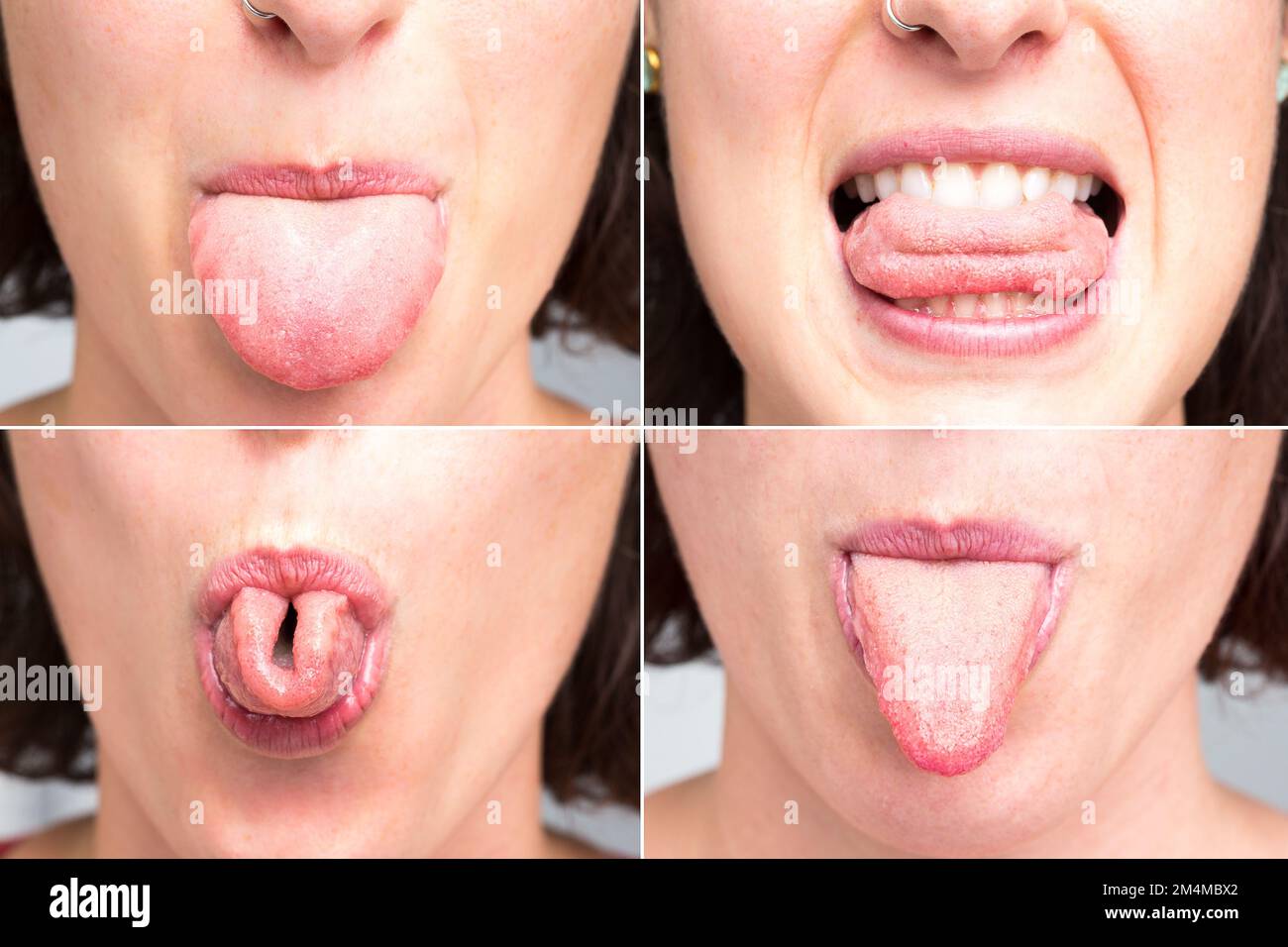 Collage de quatre formes de langue d'une femme comme elle le dépasse de sa bouche, le pli en U est un trait héréditaire, la composition amusante Banque D'Images