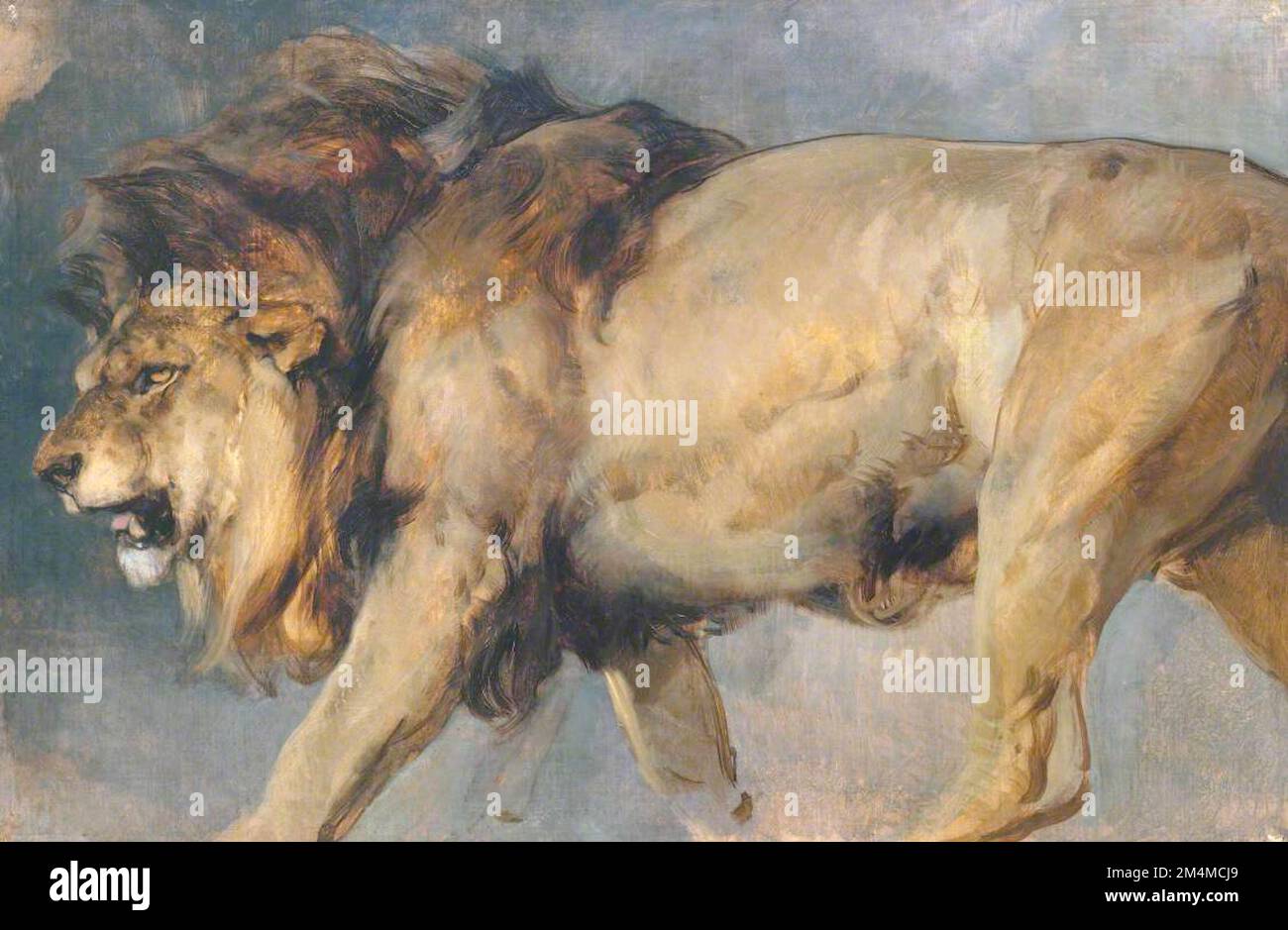 Edwin Henry Landseer - Etude d'un Lion - 1862 Banque D'Images