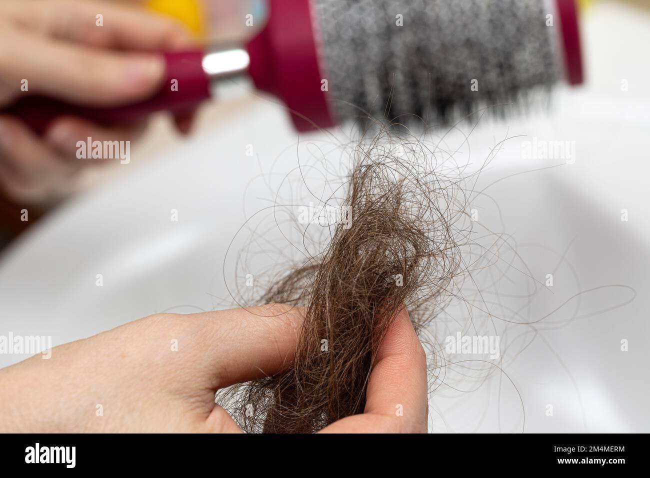 Mise au point sélective sur la main d'une femme avec une goutte de cheveux tombés et un pinceau dans l'arrière-plan. Problématique de la perte massive de cheveux. Cheveux, alopécie et Trichot Banque D'Images