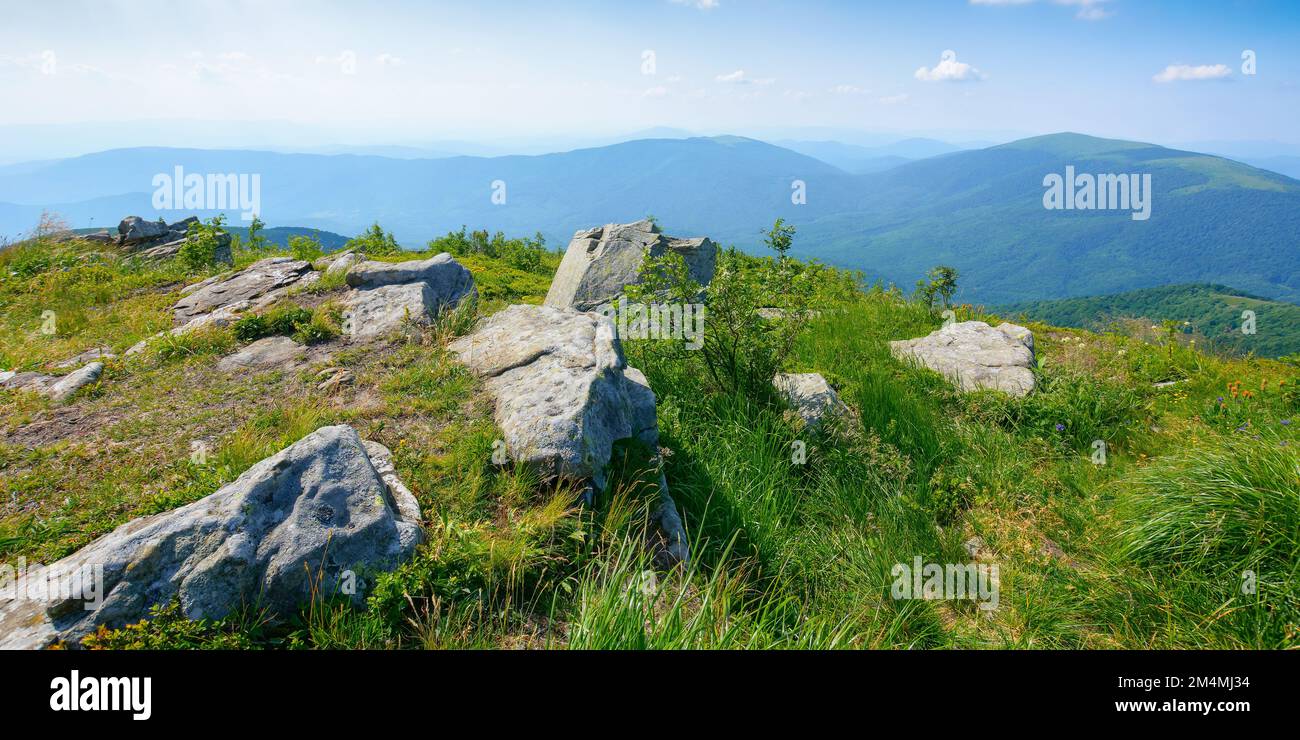 prés alpins carpaliens dans la lumière du soir. magnifique paysage de montagne avec des pierres au milieu de l'herbe, des arbres sur les collines et des vallées profondes. magnifique vi Banque D'Images