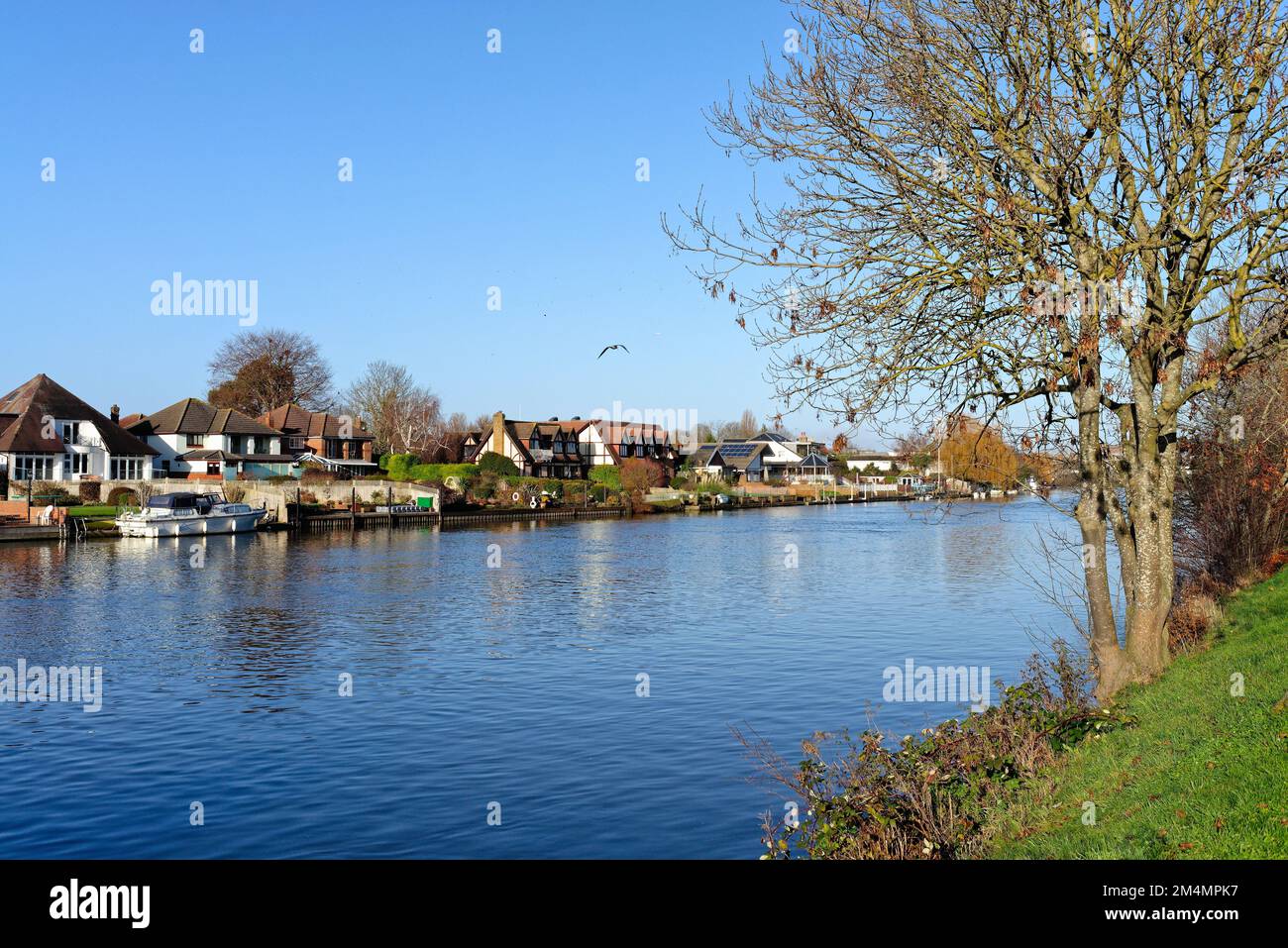 Staines sur la Tamise avec des maisons privées donnant sur la rivière lors d'un hiver ensoleillé Surrey Angleterre Royaume-Uni Banque D'Images