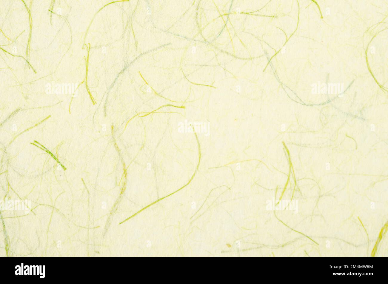 Texture de papier mûrier de couleur vert doux comme arrière-plan. Banque D'Images