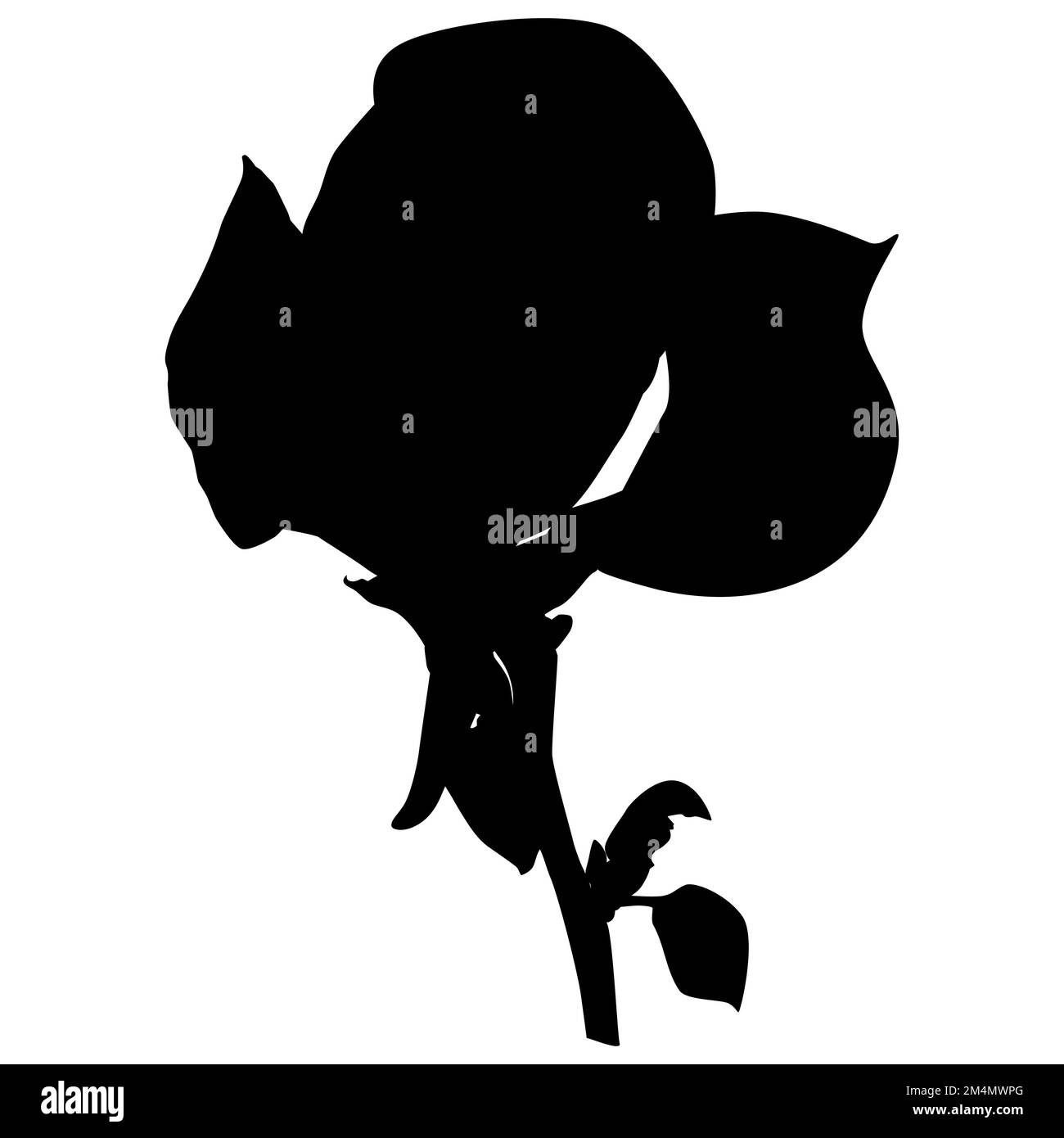 Belle fleur de magnolia. Fleur de printemps magnolia, vecteur Illustration Illustration de Vecteur