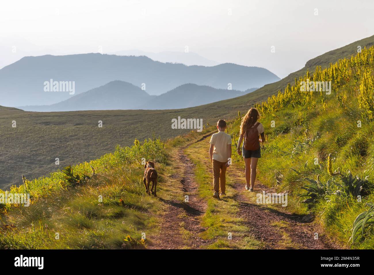 Bonne famille avec enfants et chien randonnée dans les montagnes Banque D'Images