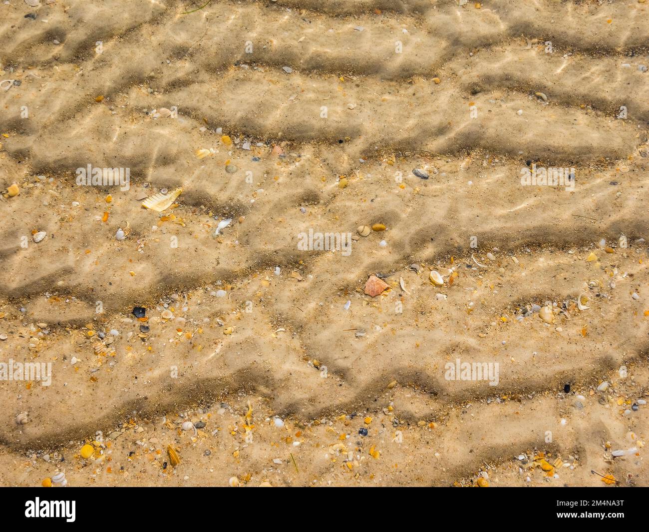 Ondule dans le sable sur la plage du golfe du Mexique sur l'île St George dans la zone de Panhandle ou Forgotten Coast de Floride aux États-Unis Banque D'Images