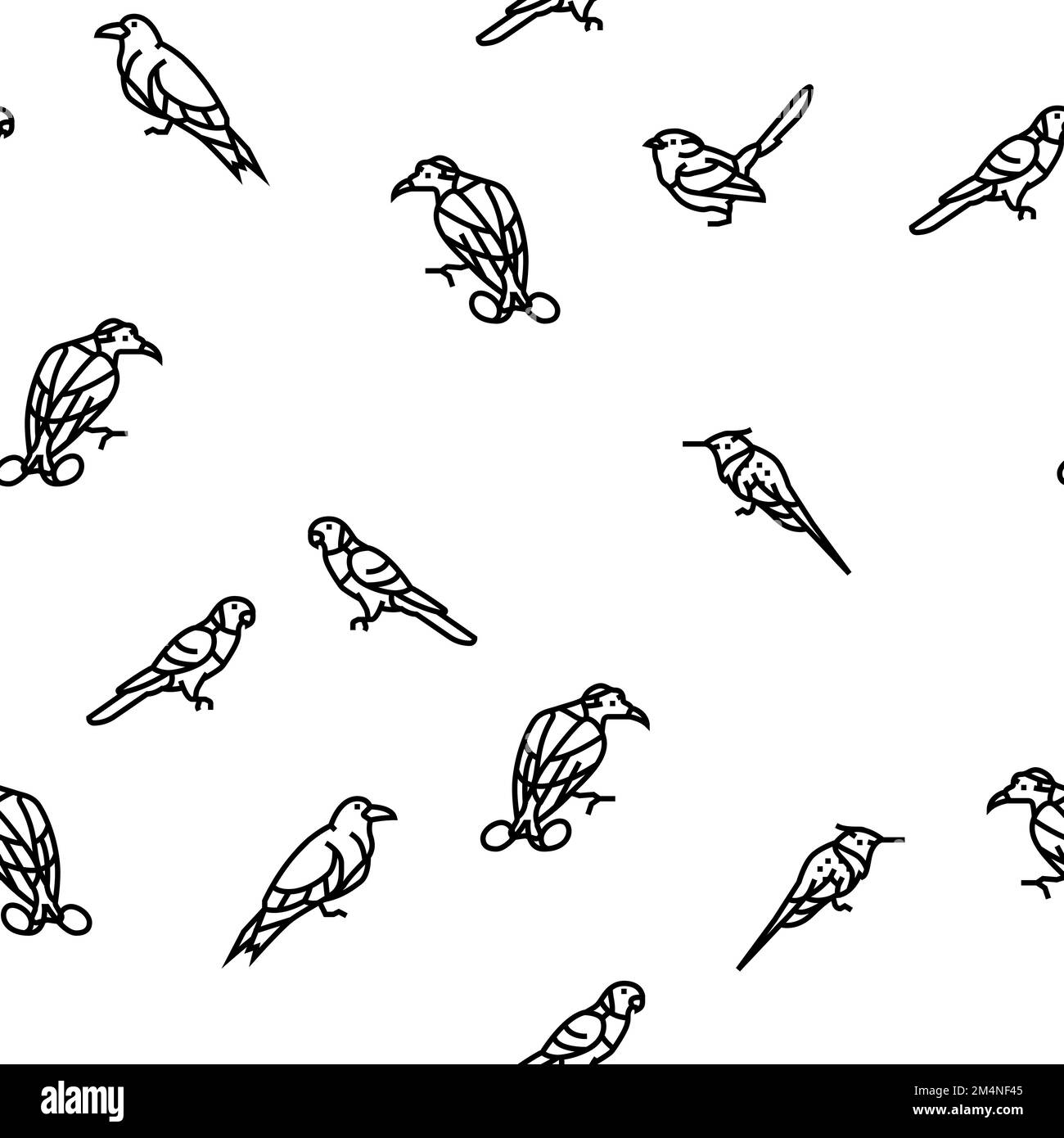 oiseau exotique animal nature sauvage vecteur sans couture motif Illustration de Vecteur