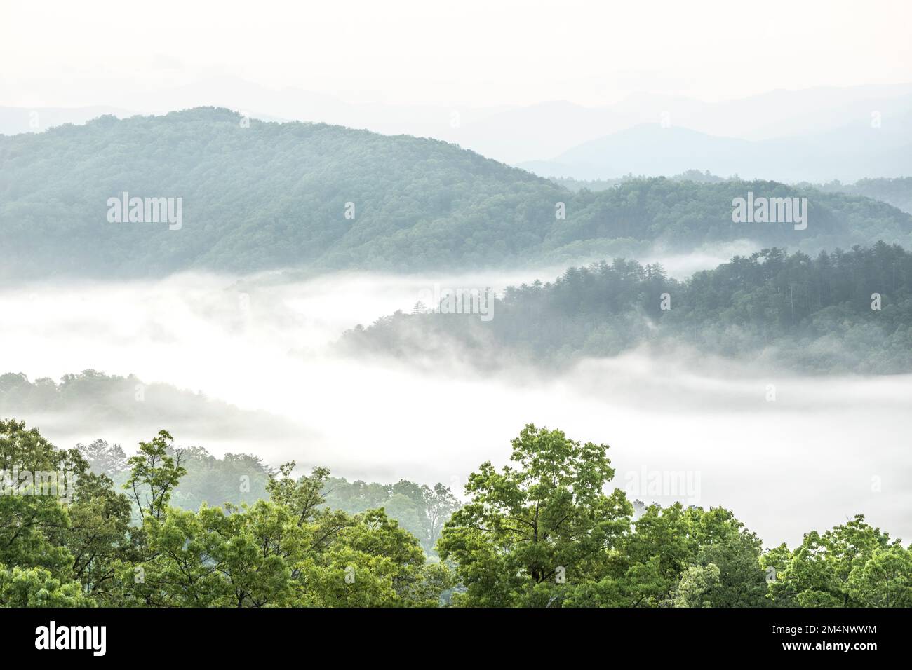 TN00144-00....Tennessee - brume et ronfles depuis la promenade Foothils, qui fait partie du réseau de parcs nationaux. La promenade est située juste à l'ouest du GR Banque D'Images