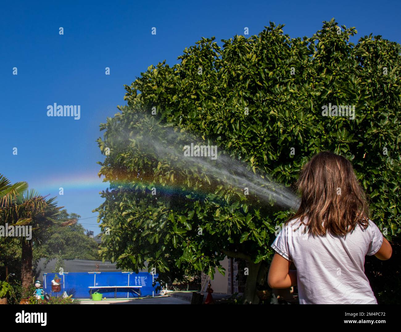Una niña con el chorro de agua de una manguera, provoca la formación de un arcoíris debido a la refracción de la luz Solar en las gotas de agua rociad Banque D'Images