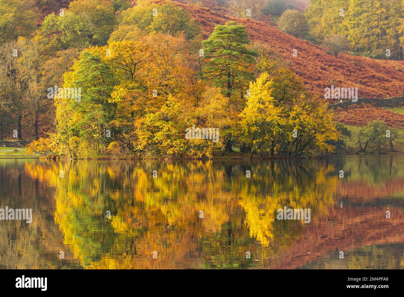 Couleurs d'automne à Rydal Water Banque D'Images