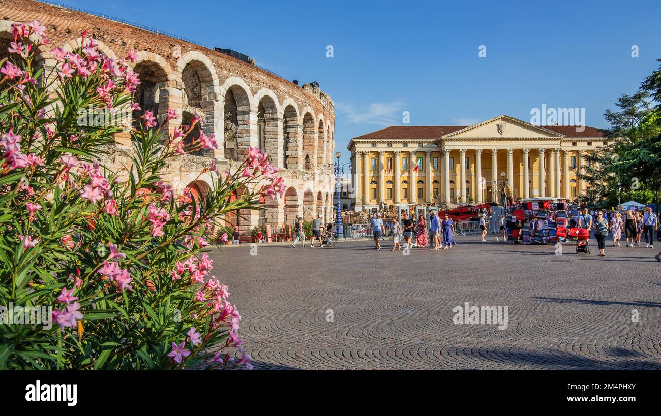 Arena di Verona et Palazzo Barbieri à Piazza Bra, Vérone, Vénétie, Italie du Nord Banque D'Images