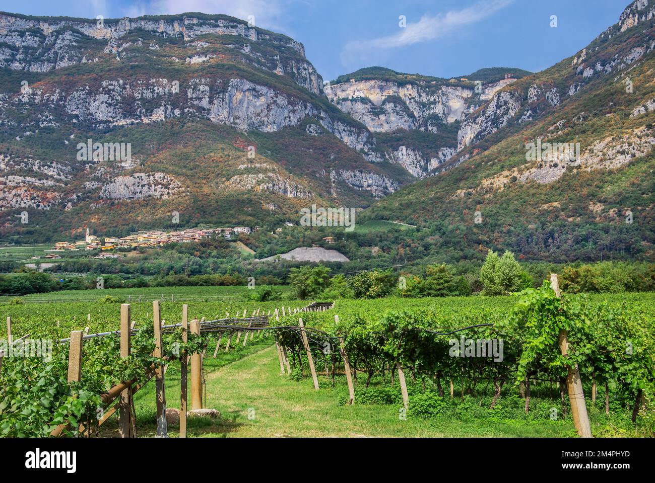 Vignoble dans la vallée de l'Adige avec église de pèlerinage Madonna della Corona haut dans le rocher, Brenno-Belluno, Vénétie, Italie du Nord, Italie Banque D'Images