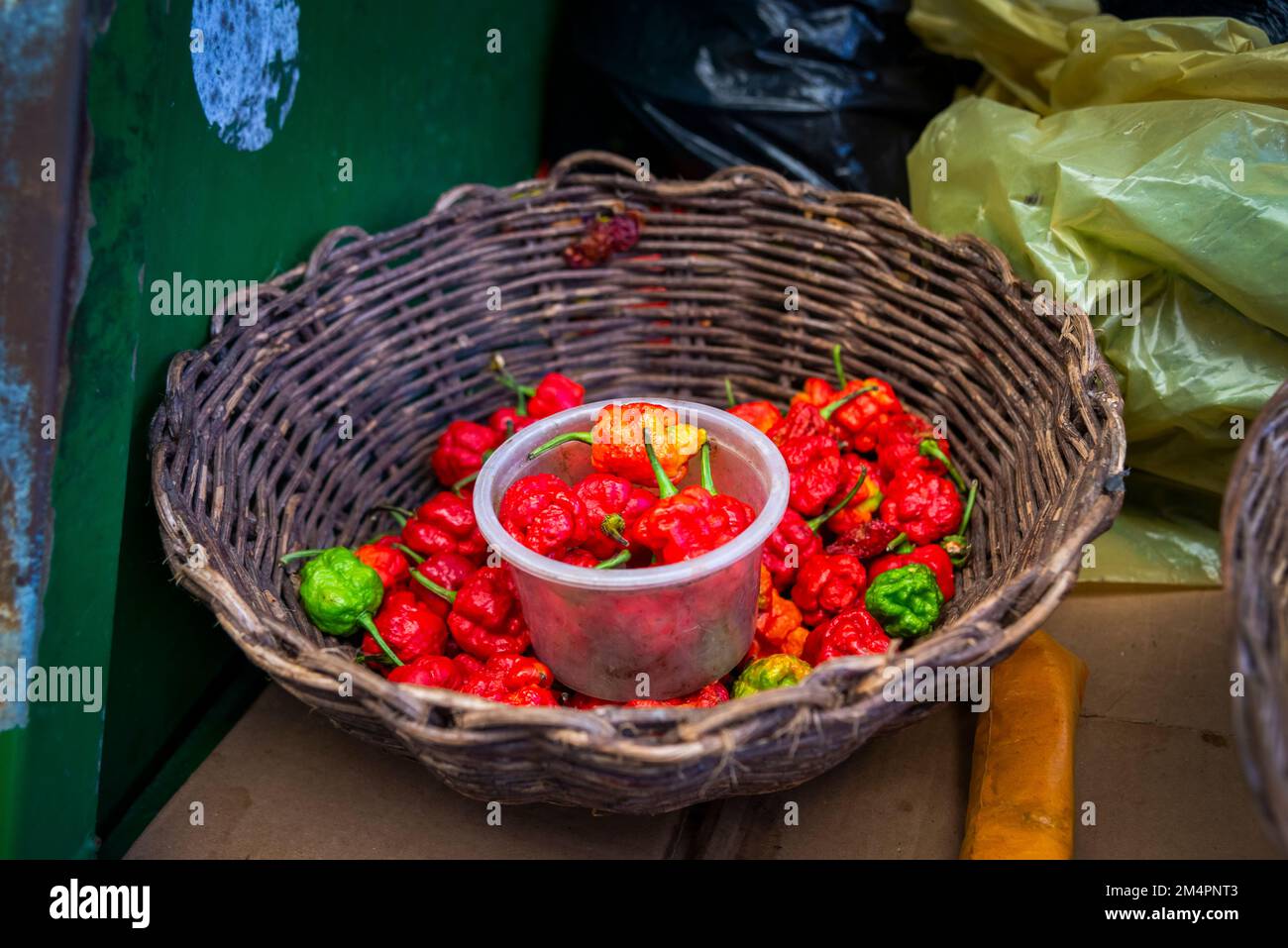 Fruits, épices, légumes et légumes en boîtes à vendre au salon de Sao Joaquim à Salvador, Bahia. Banque D'Images