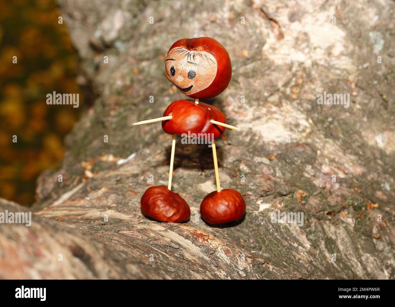 Jolie figurine châtaigne sur le tronc de bouleau, Rhénanie-du-Nord-Westphalie, Allemagne Banque D'Images