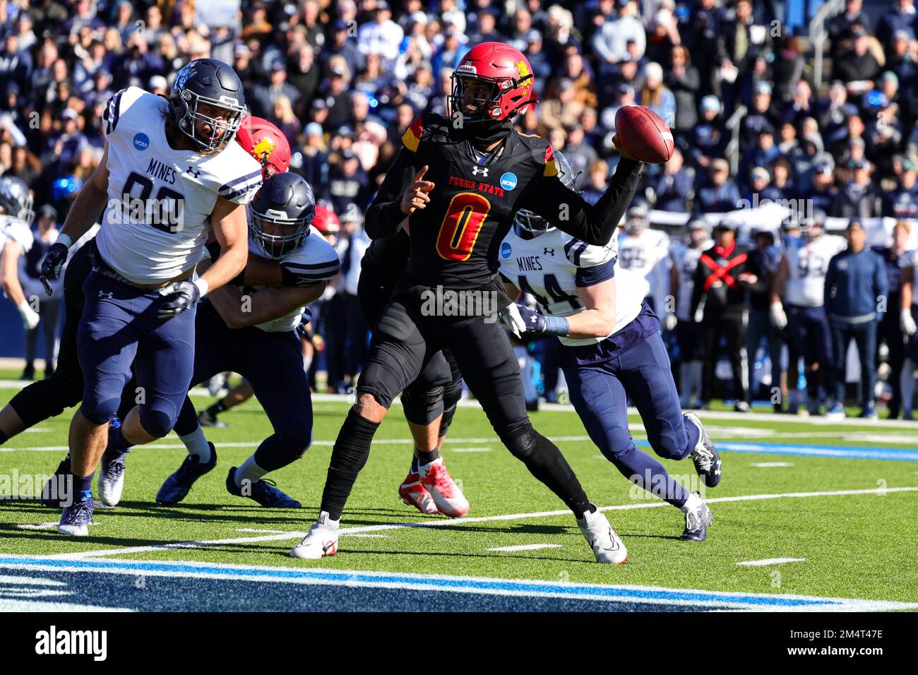 Le quarterback des Bulldogs de l'État de Ferris Mylik Mitchell (0) retombe à la passe pendant le premier trimestre du collège national de championnat de la Division II de la NCAA Banque D'Images