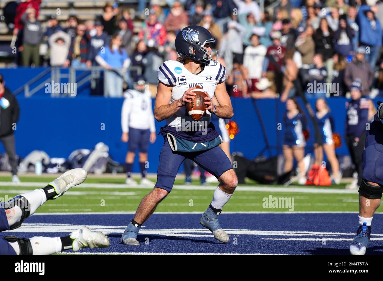 Colorado School of Mines Orediggers quarterback John Malocha (10) s'installe pour passer au cours du quatrième trimestre des champions nationaux de la Division II de la NCAA Banque D'Images